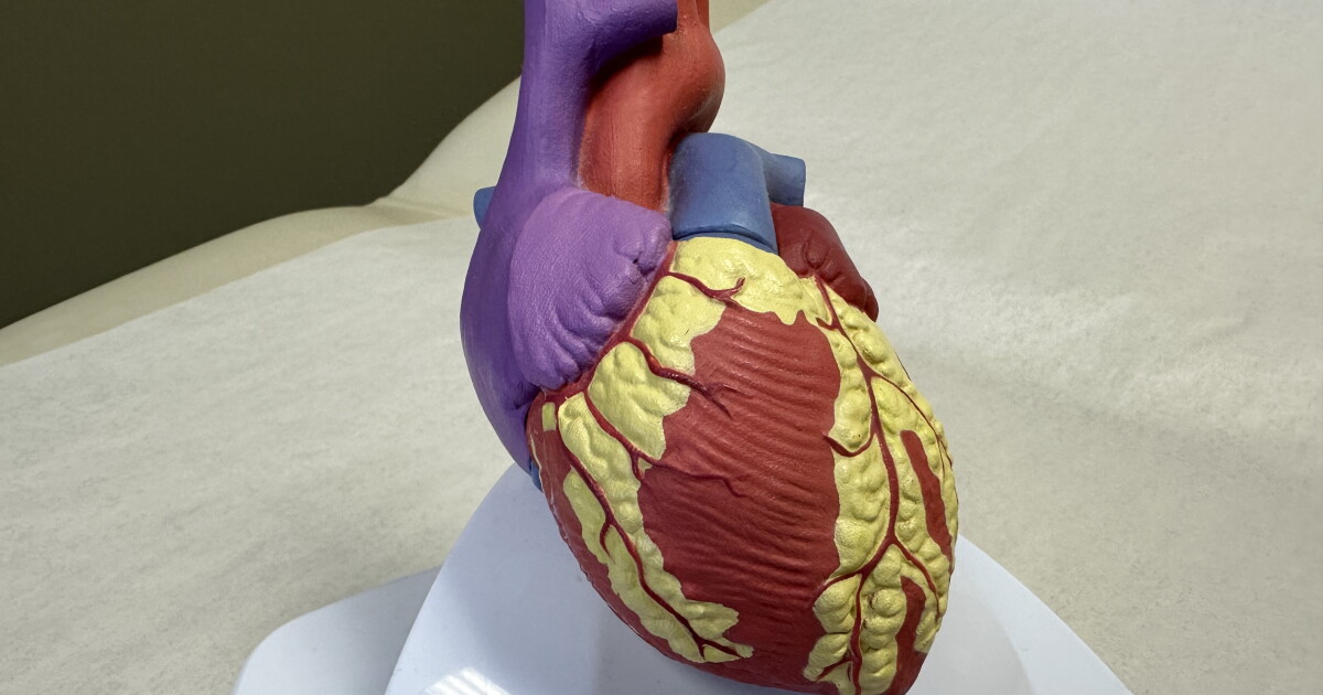 Check in with your heart during this American Heart Month - Vimarsana News