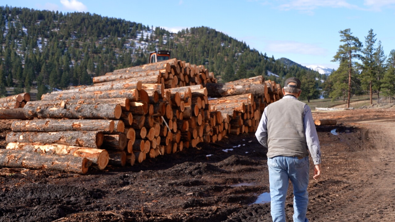 Marks Lumber