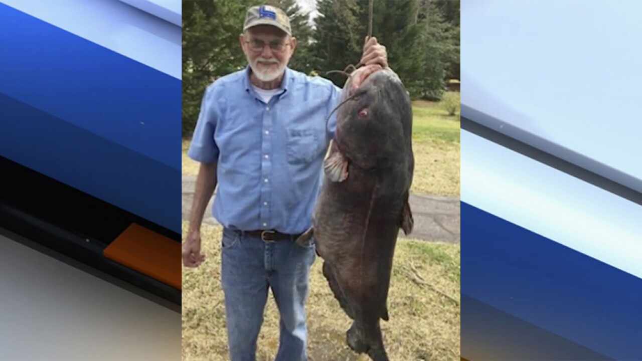 WOW! Fisherman catches 89pound catfish