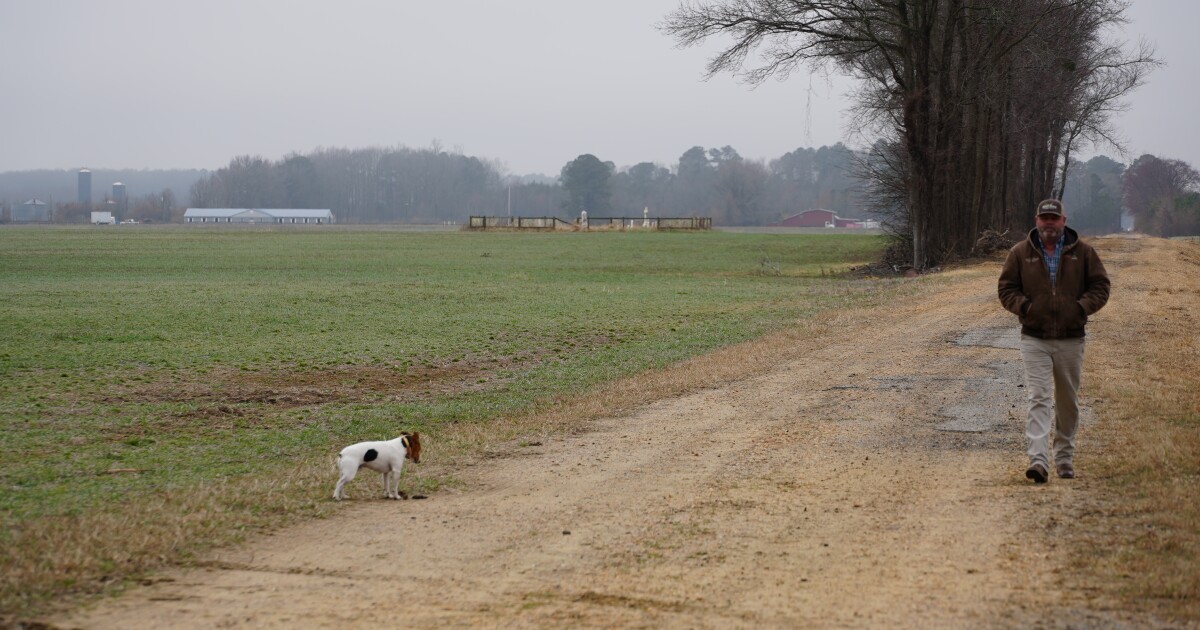 Local farmers brace for fertilizer price spike as Iran closes Strait of Hormuz