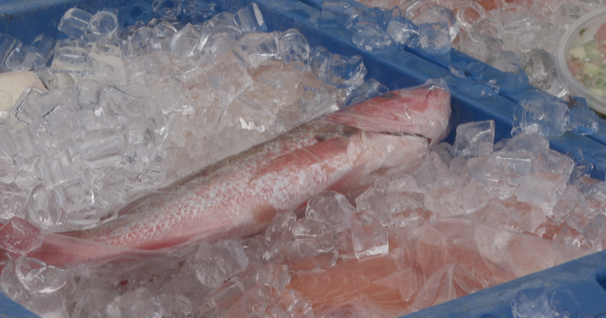 Poway Farmers Market vendors stock up on ice to keep fish and meat fresh during extreme heat warning