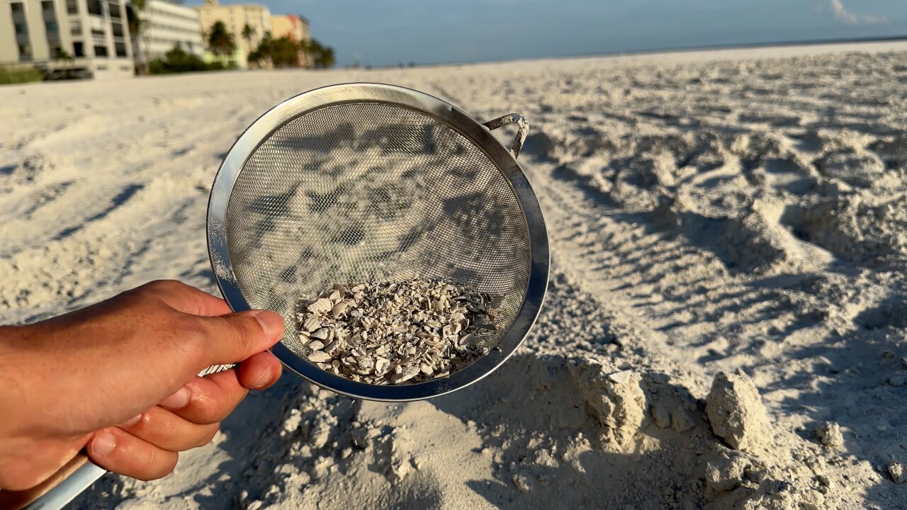 renourished1LEE BEACH RENOURISHMENT - AR 1.jpg