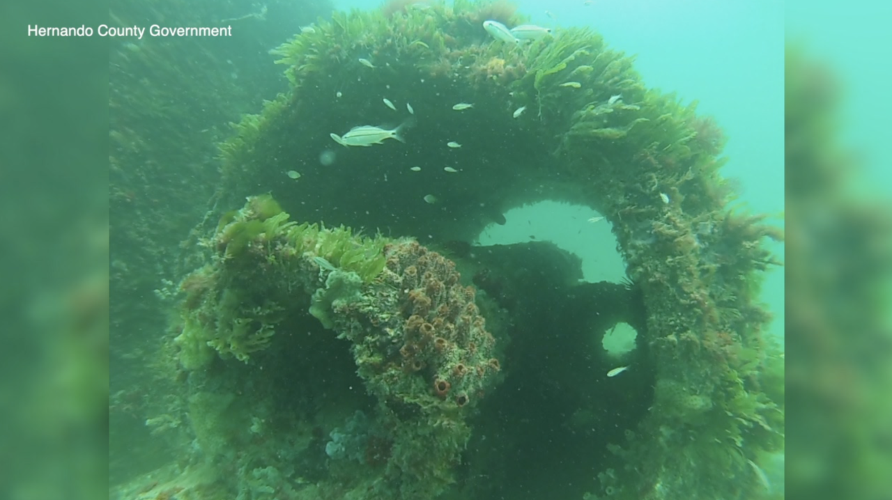 Screen Shot 2023-11-13 at 10.07.10 PM.png