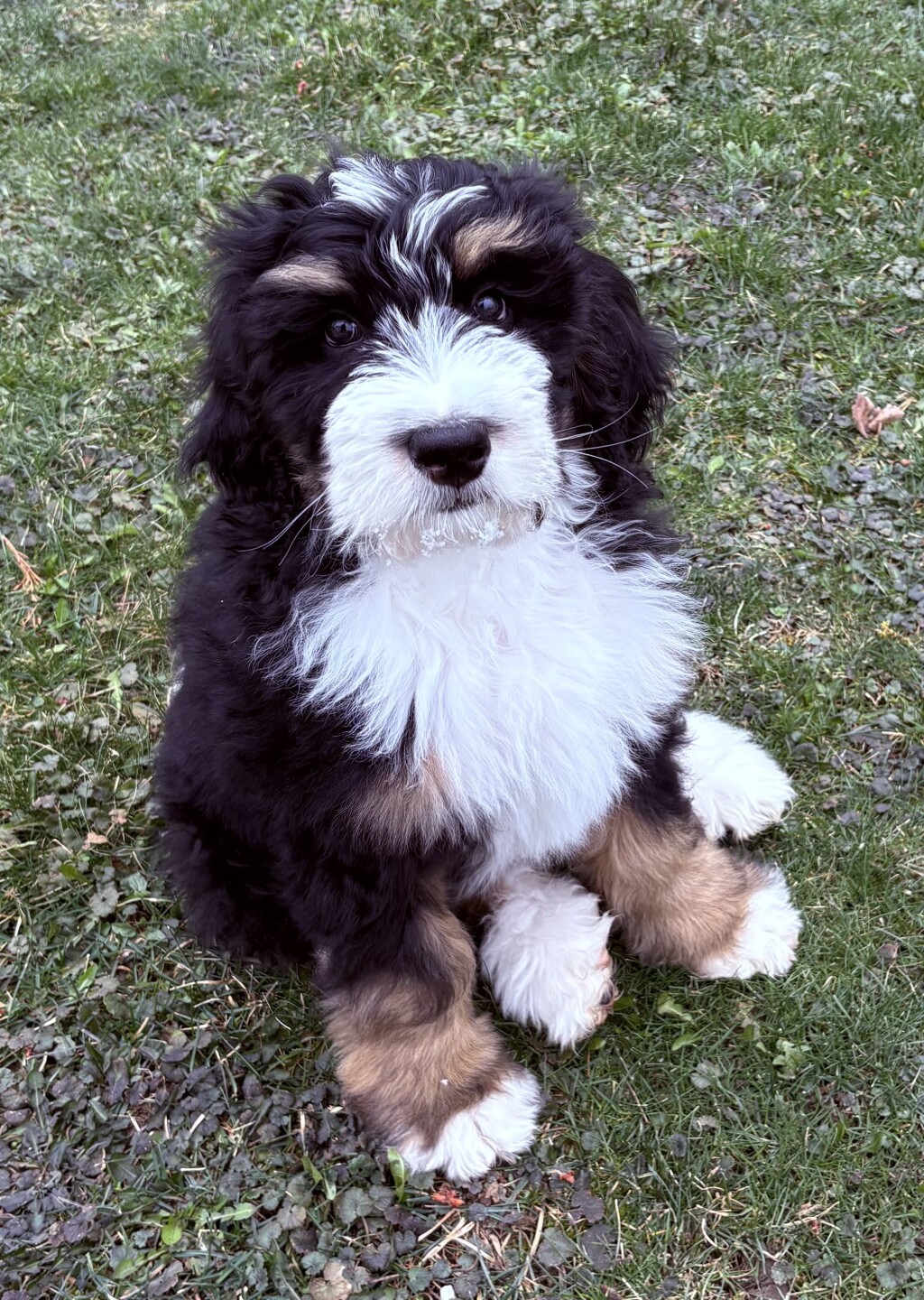 finnian vorhies wednesday.jpeg