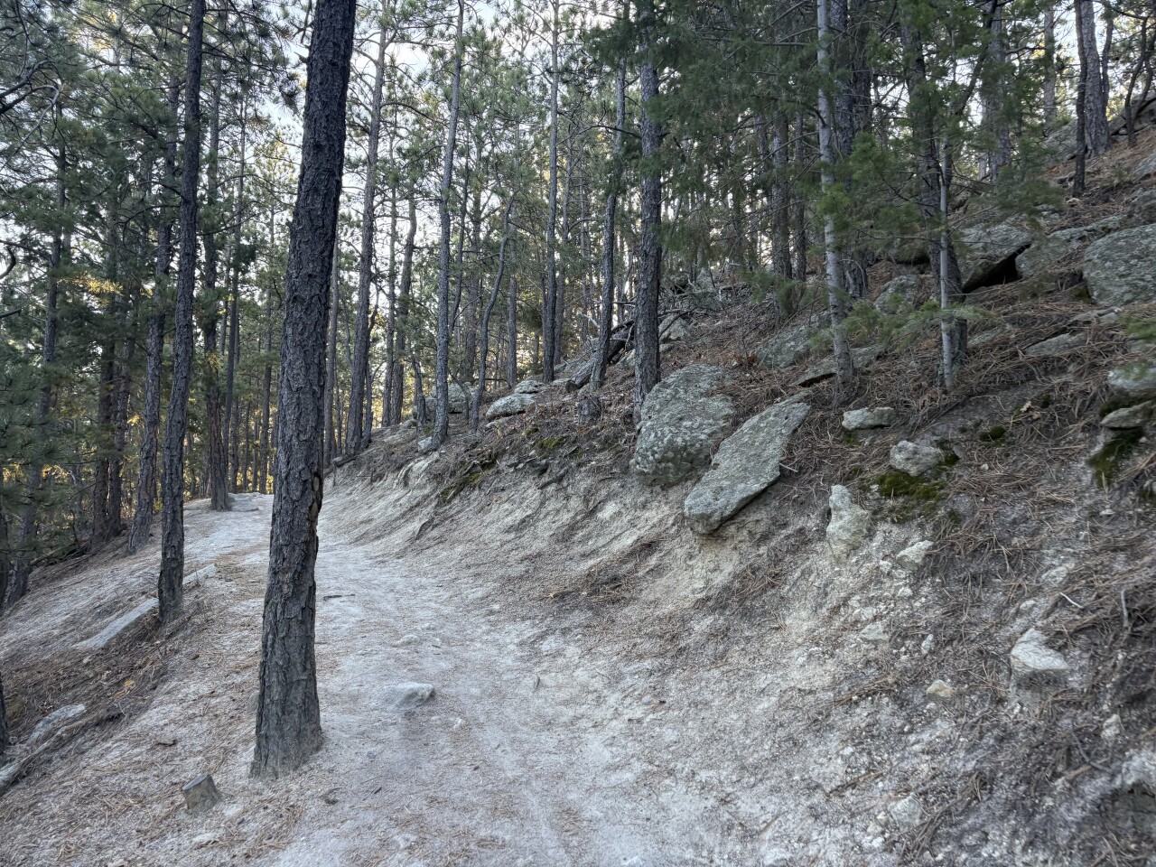 Spruce Mountain_Deb Stanley