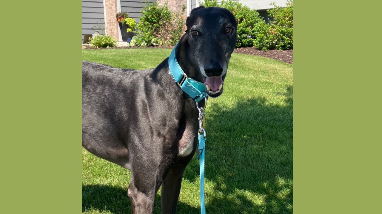 Knight - Menomonee Falls.jpg