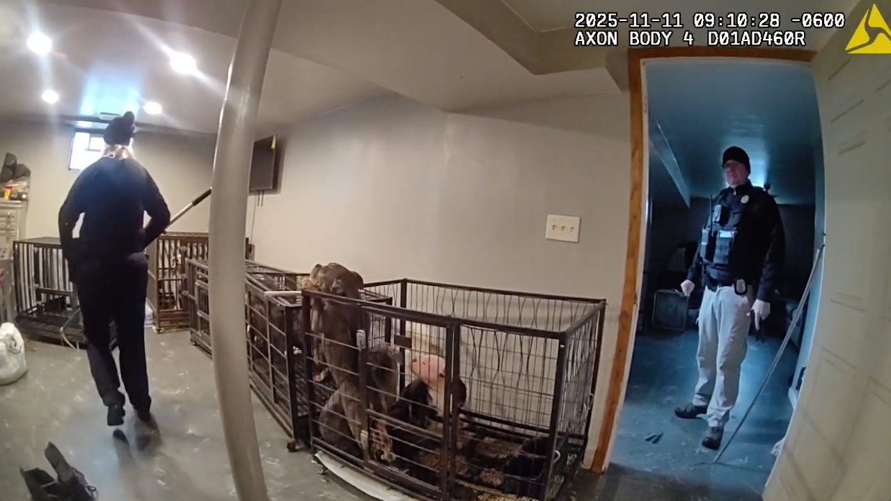 Custom Thumbnail - 2025-11-18T131425.725.png