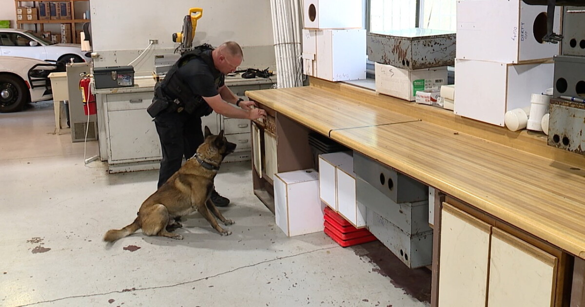 Kansas State Highway Patrol training K-9s to help with fentanyl detection - Vimarsana News