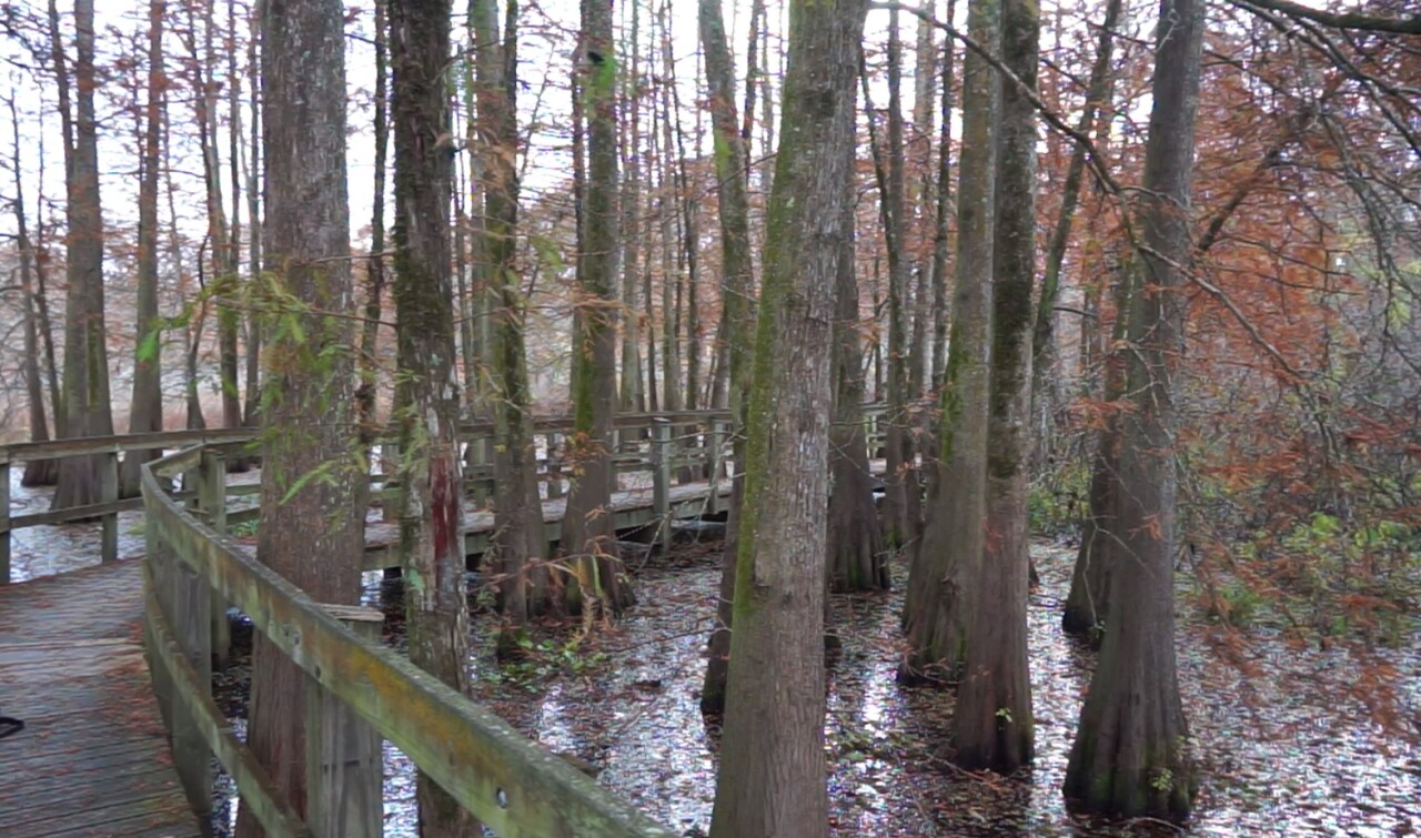 lakemartin1.jpg
