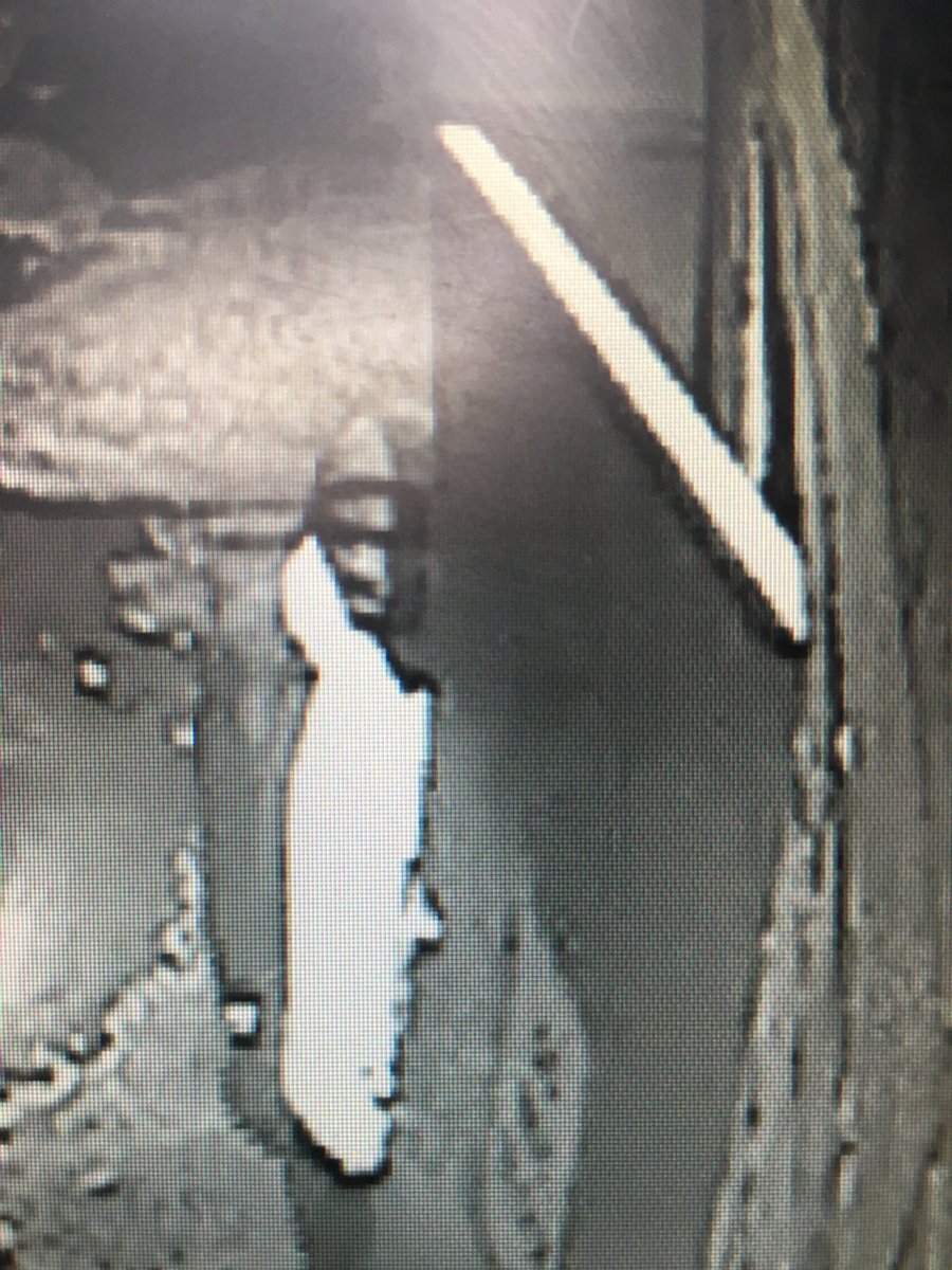 elephant restaurant suspect.jpg