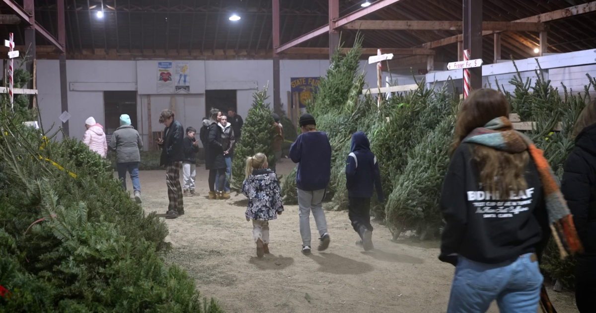Uptown Optimist Club kicks off its annual Christmas tree fundraiser