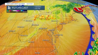 fall.jpg