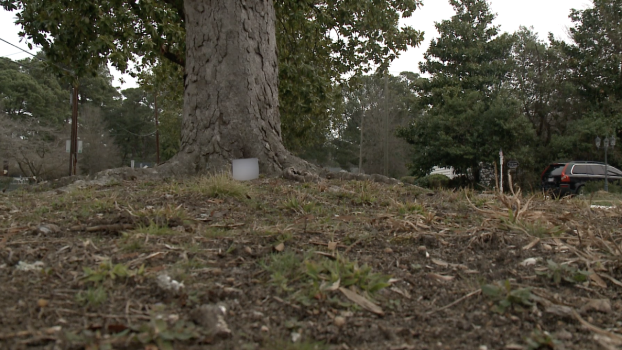 Antisemitic flyers found in Norfolk as AG stands up task force