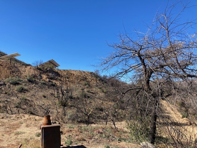 Telegraph Fire B.jpeg