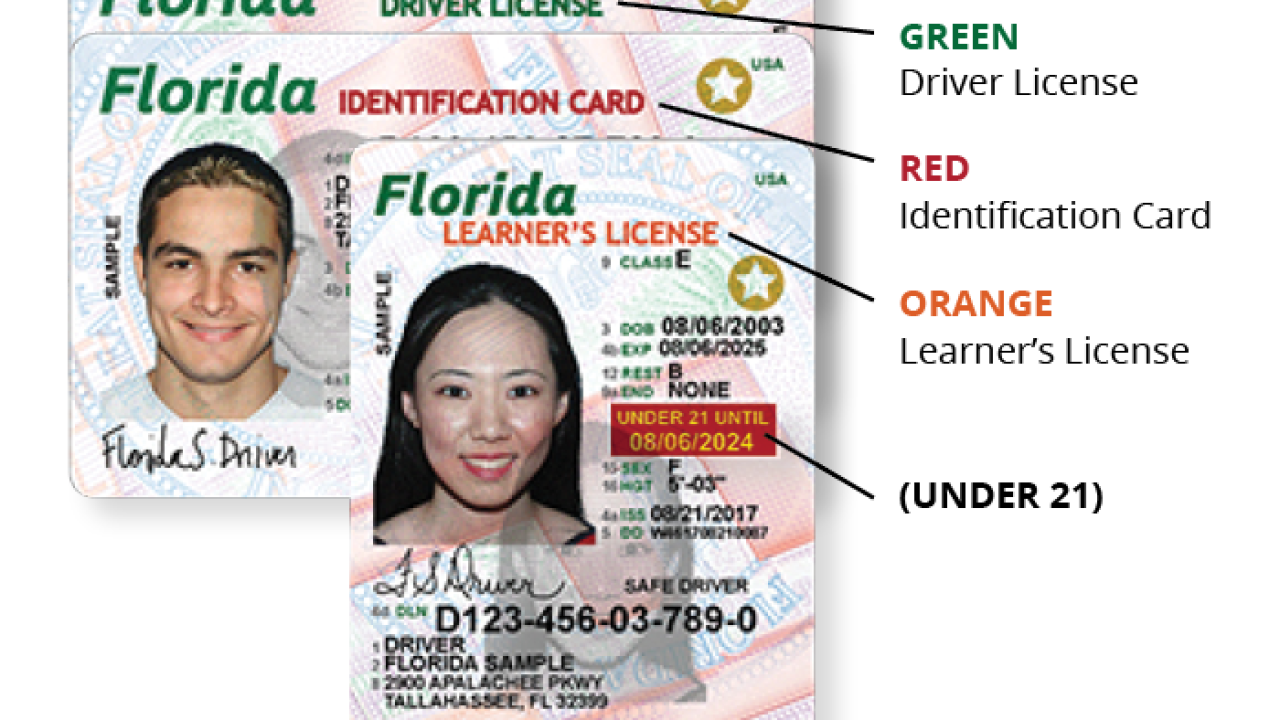 Enhanced Driver License Florida Maznews enhanced-driver-license-florida-maznews