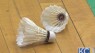 Badminton 101