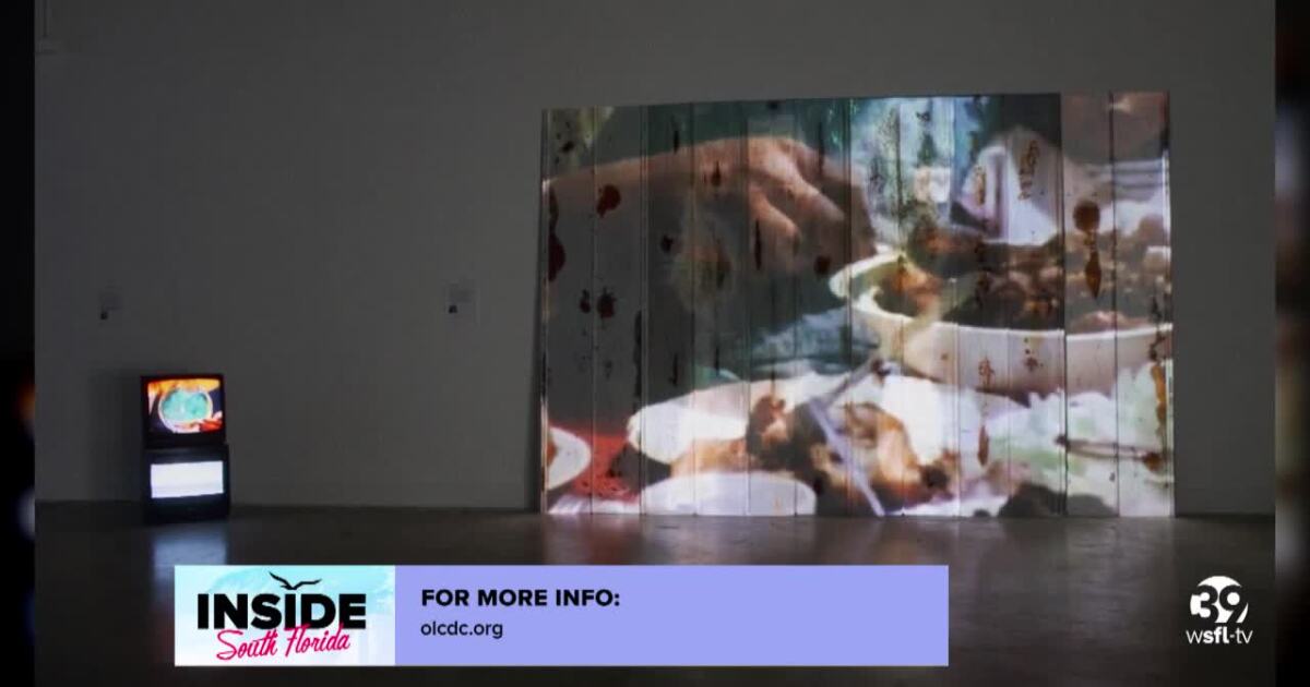 Take a look at the city of Opalocka's newest art exhibits