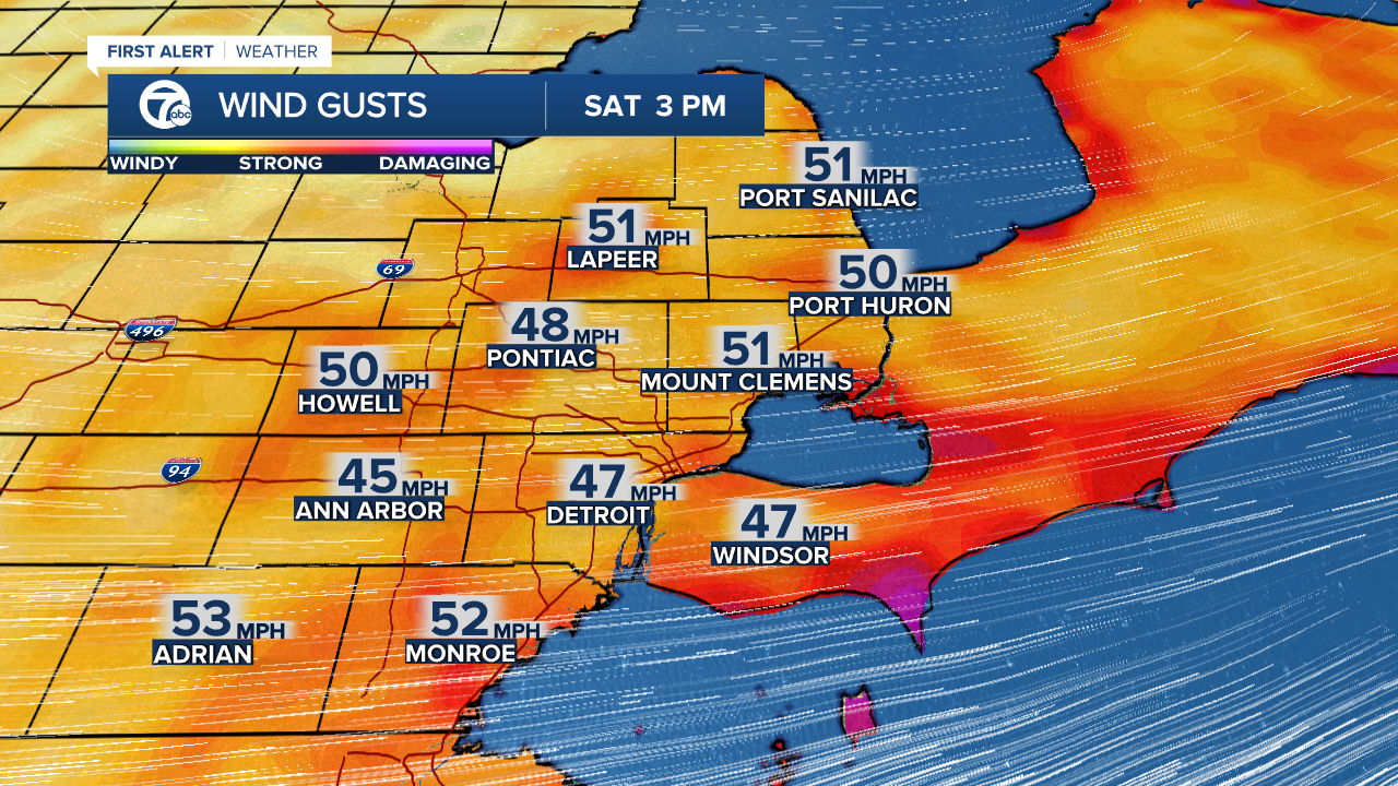 Wind Gusts ECMWF 9Km - Mike.png