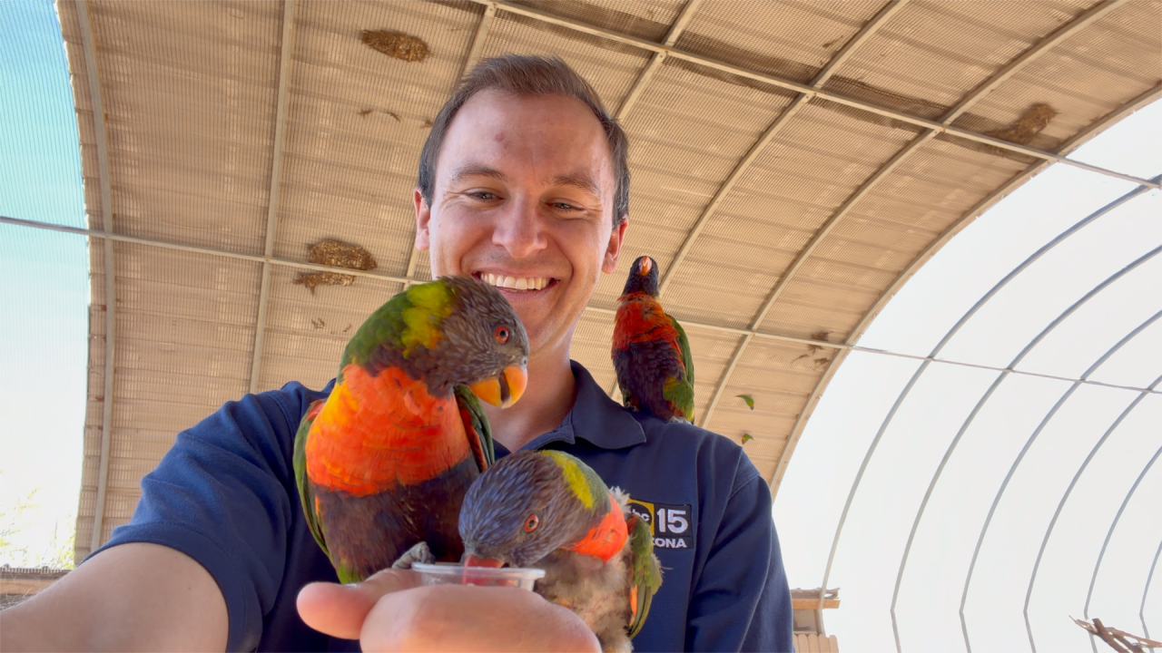 Rooster Cogburn Ostrich Ranch