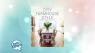 Kim Leggett's Decor Tips for Modern Farmhouse Style