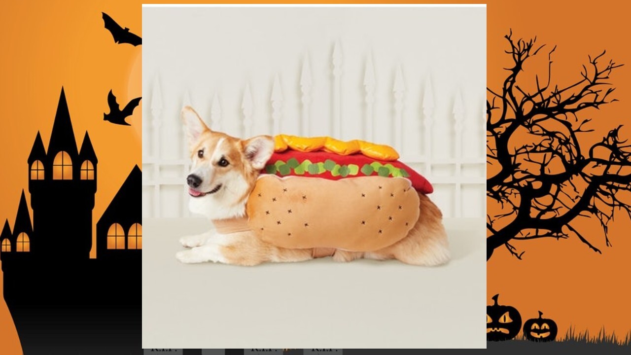 Hot Dog Dog Costume.jpg