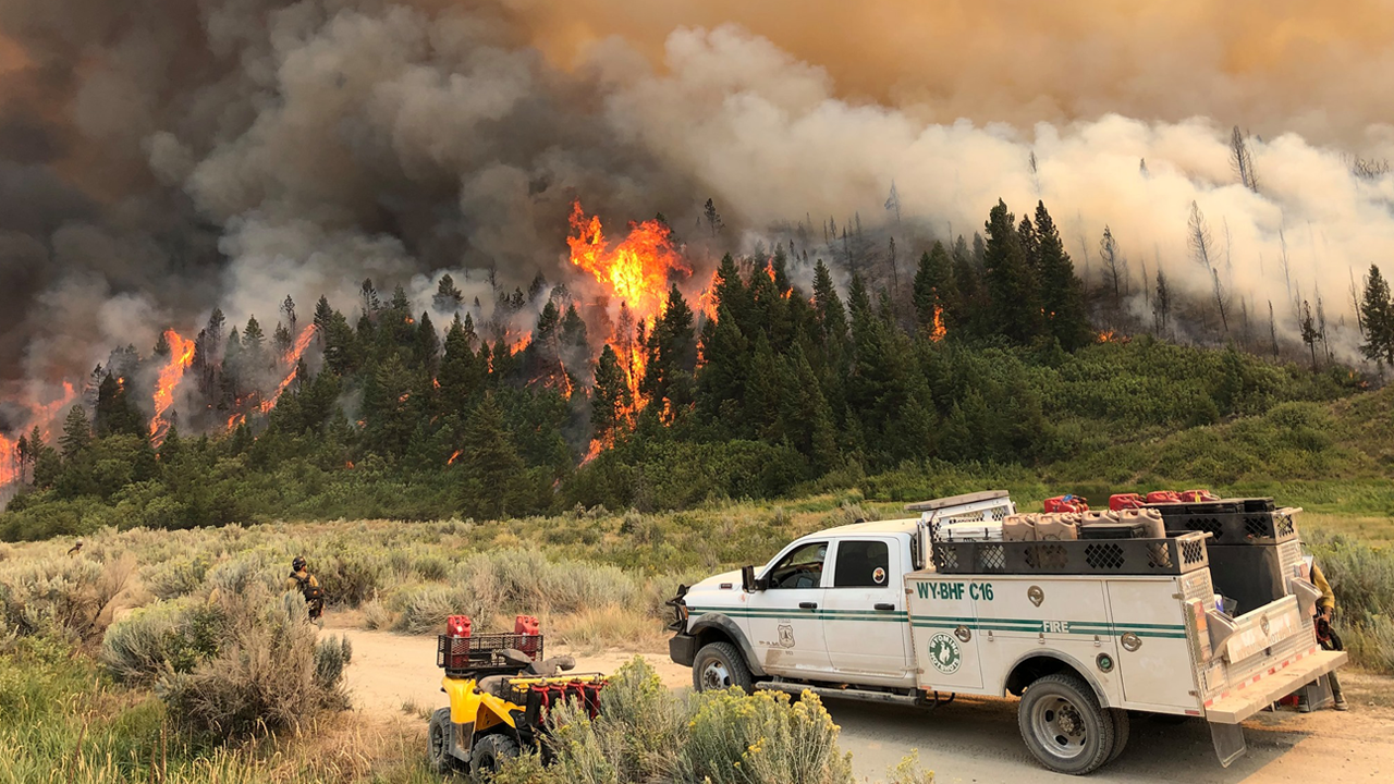 Pine Gulch Fire on Western Slope grows to over 20K acres, no containment