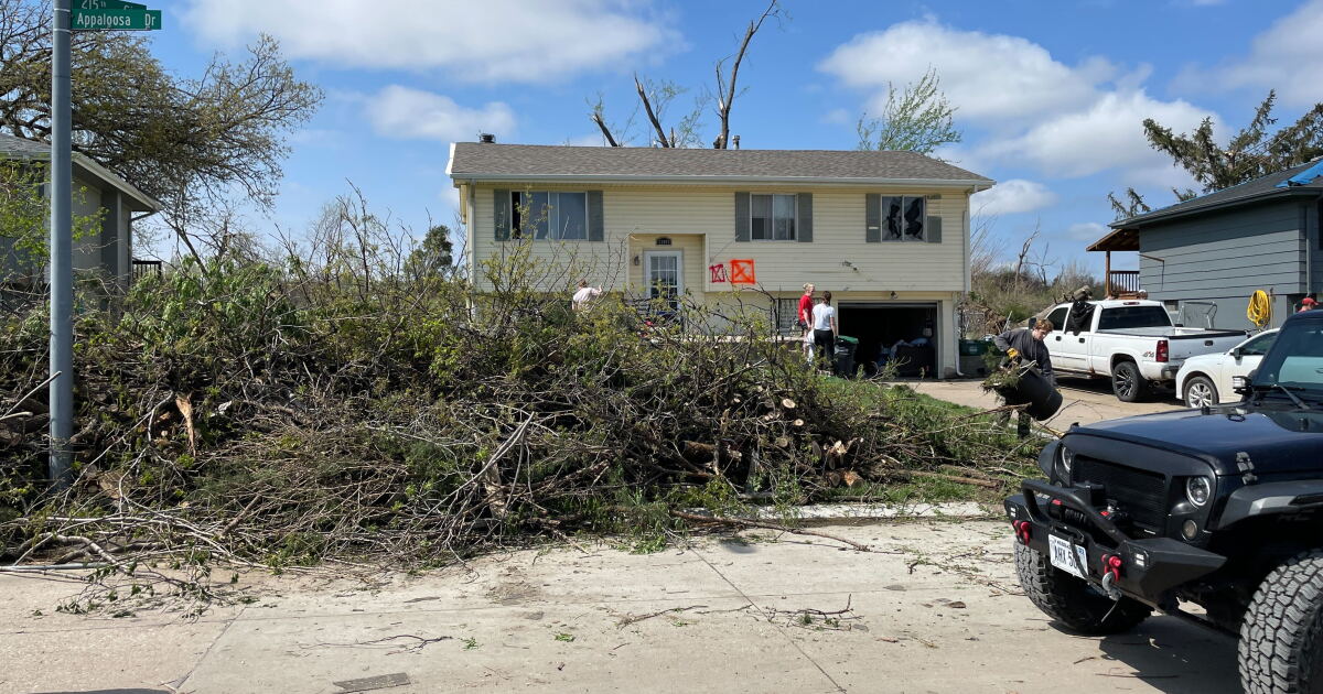 Tornado clean-up: where you can drop off storm debris in your neighborhood