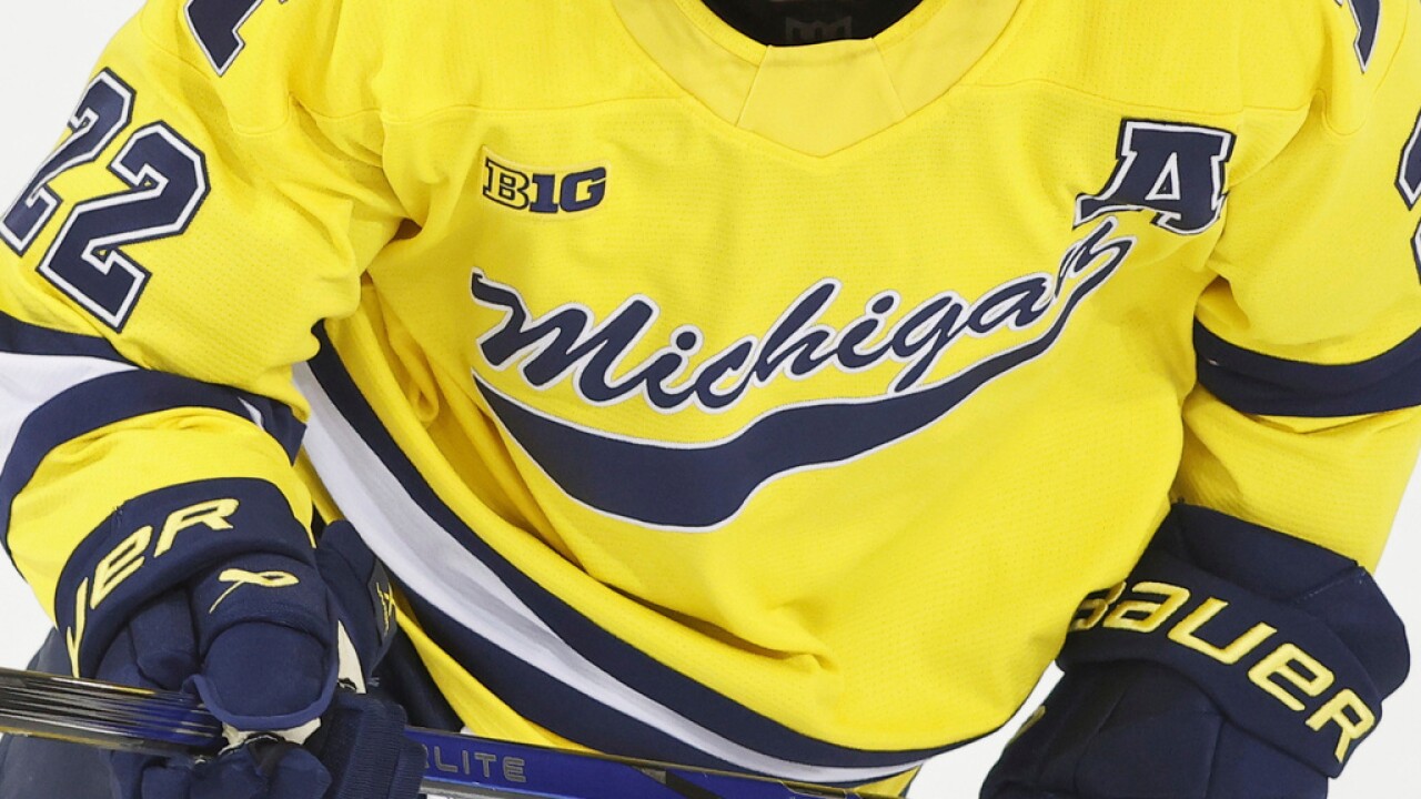 Michigan Women's Hockey