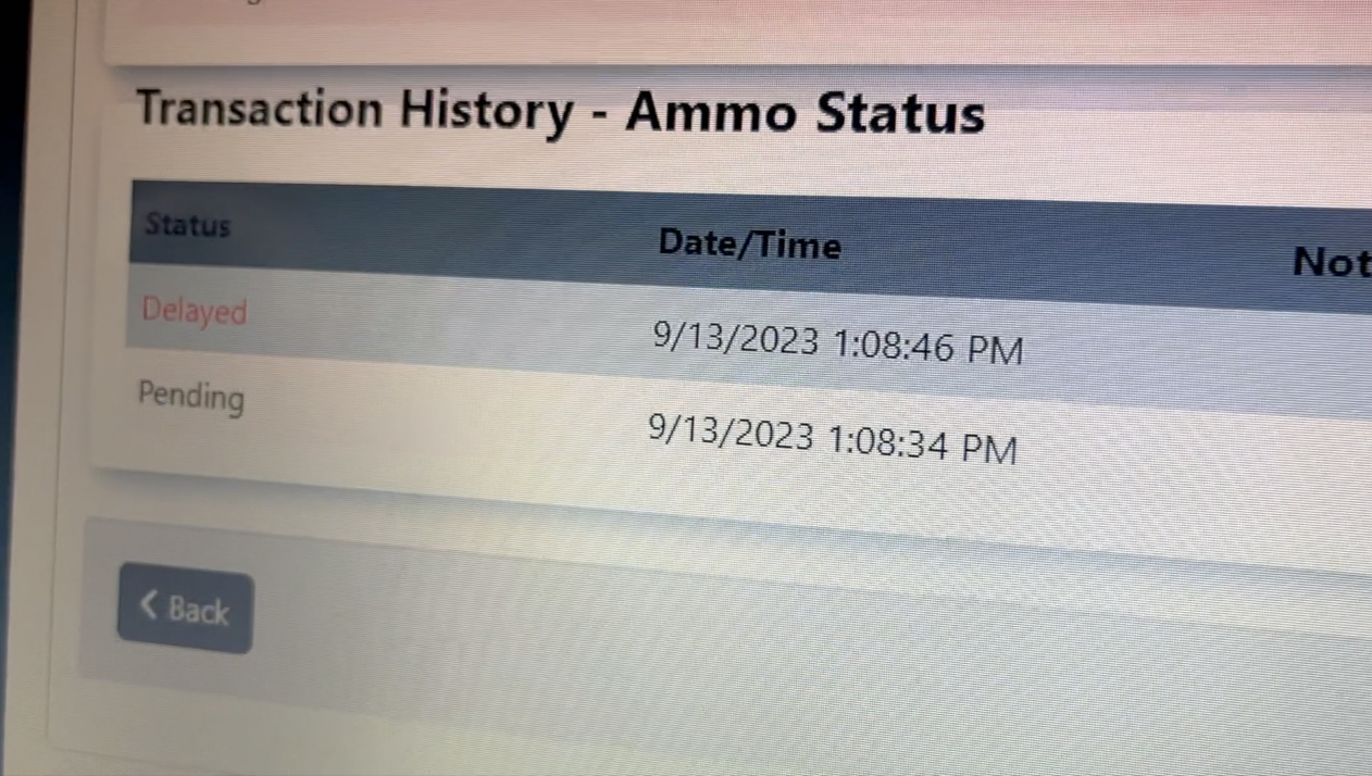 background check delay