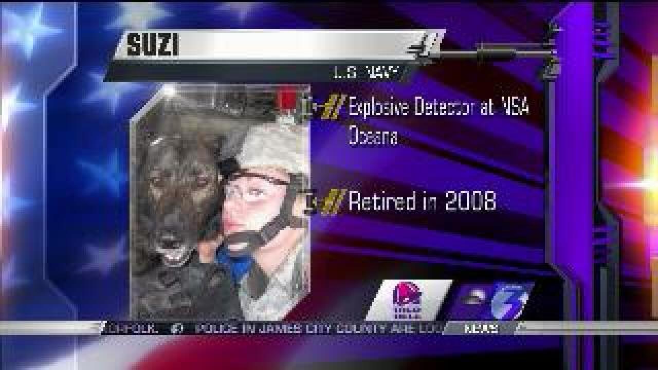 Suzi