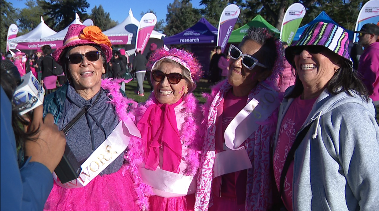 More Than Pink Walk