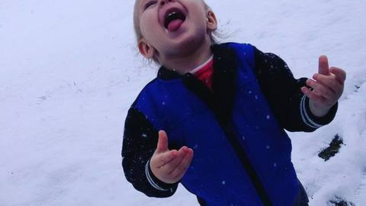 PHOTOS: Winter Wonderland in central Indiana