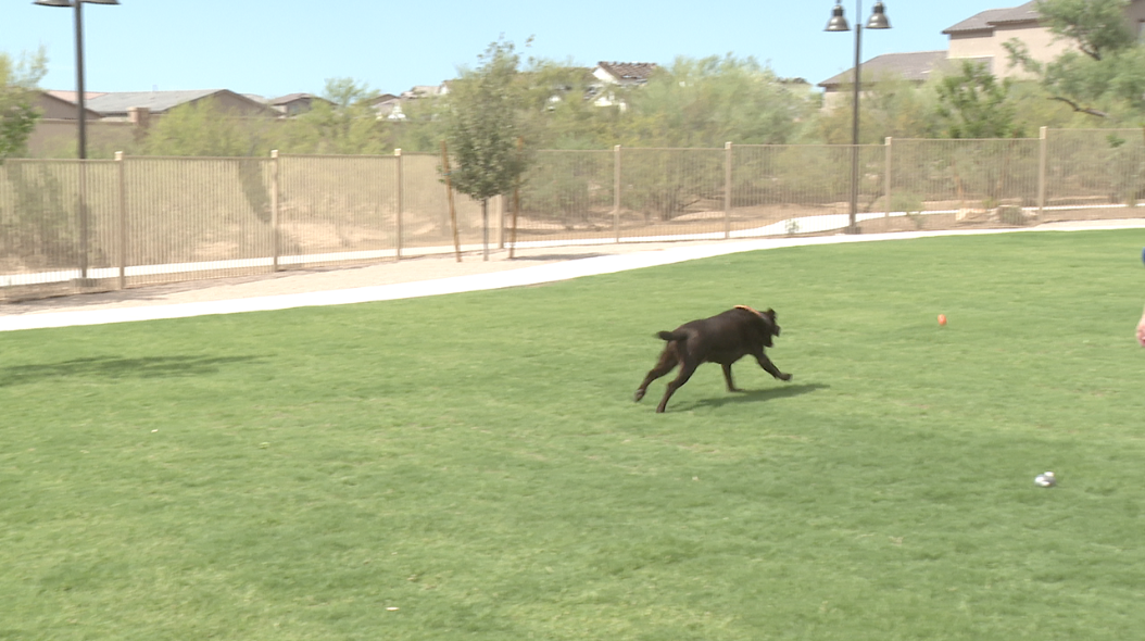 Parque La Coraza dog park