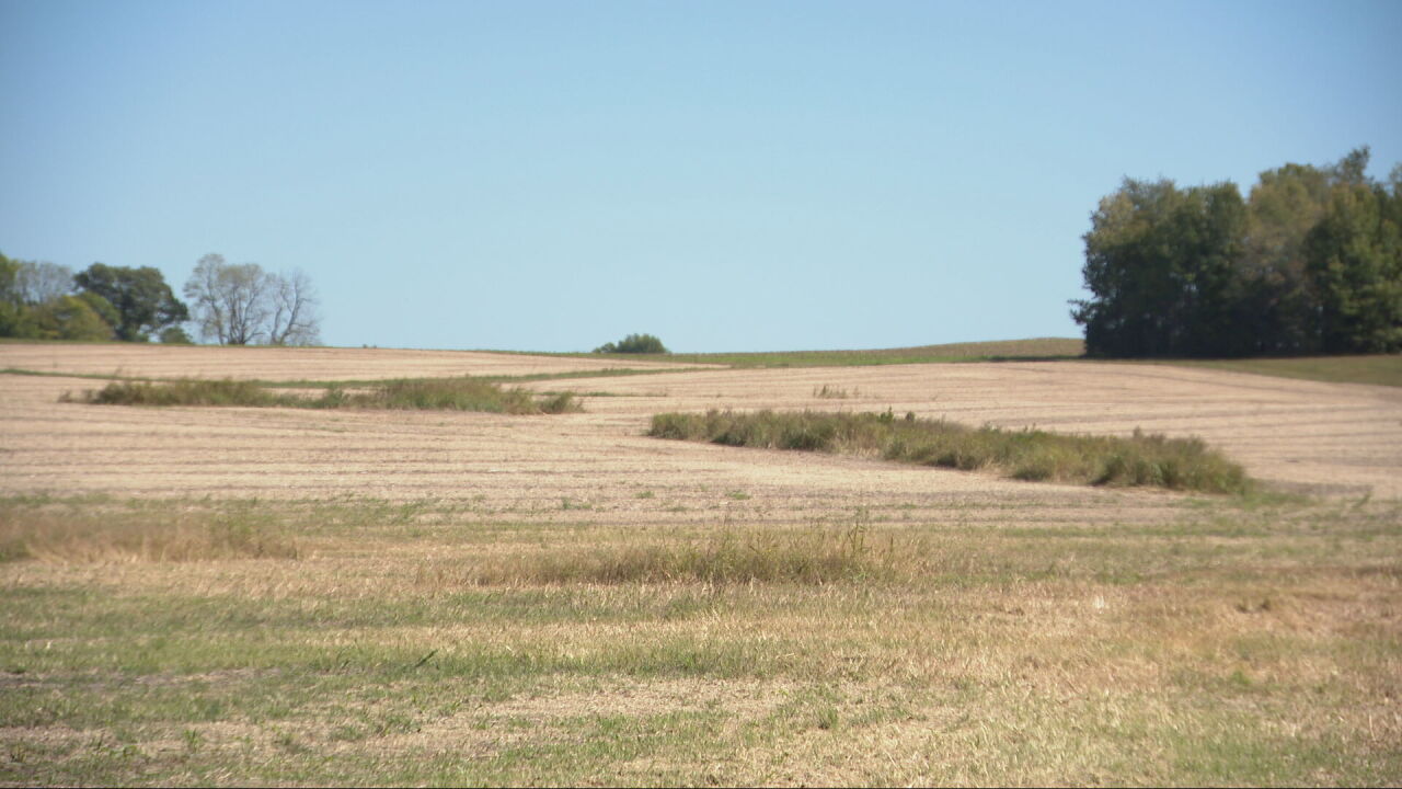 Kentucky Pennyrile farmland 
