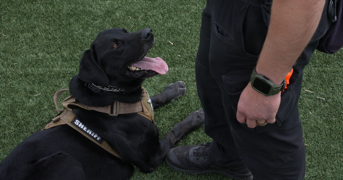 Arapahoe County K-9 tracks down missing 7-year-old girl within minutes during first search and rescue mission