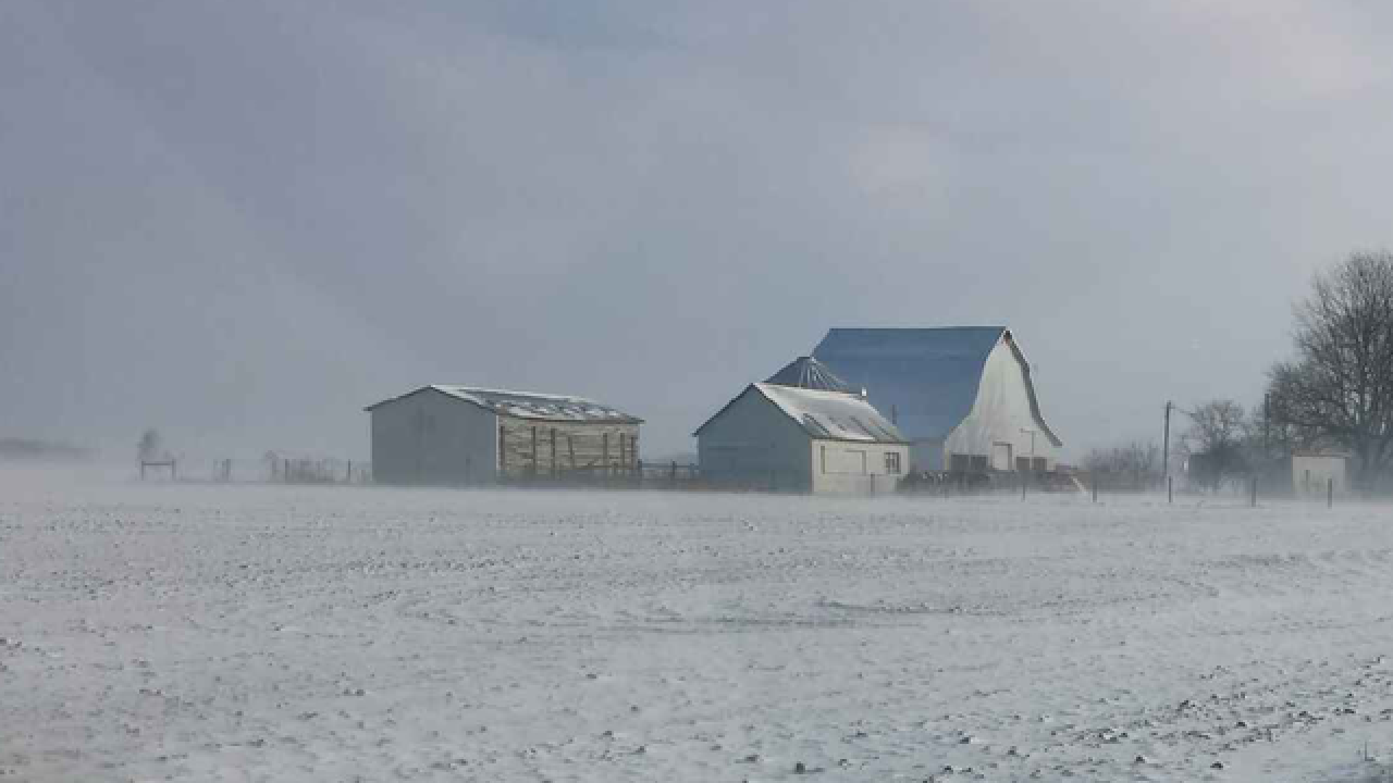 PHOTOS: Even animals have snow days on farms
