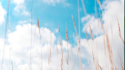 sun & clouds 