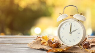 Alarm,Clock,,Acorns,And,Autumn,Leaves,On,Table,Outdoors.,Daylight