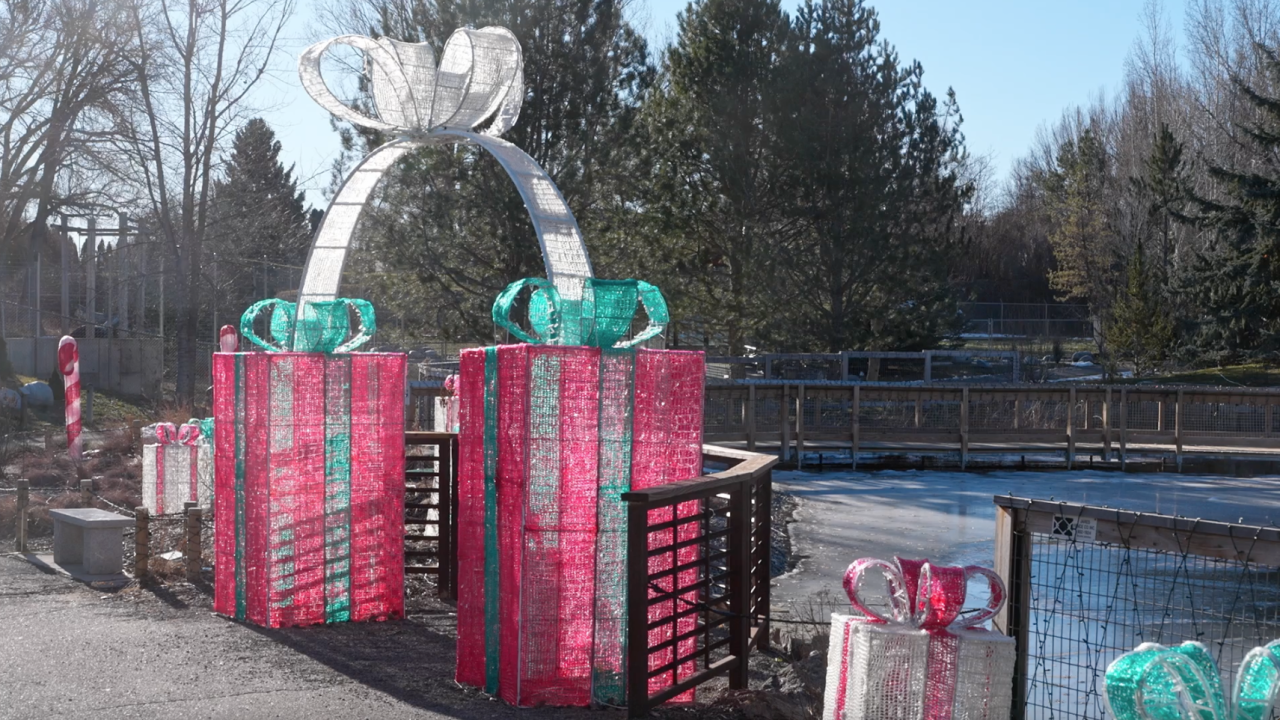 Holiday Nights at ZooMontana