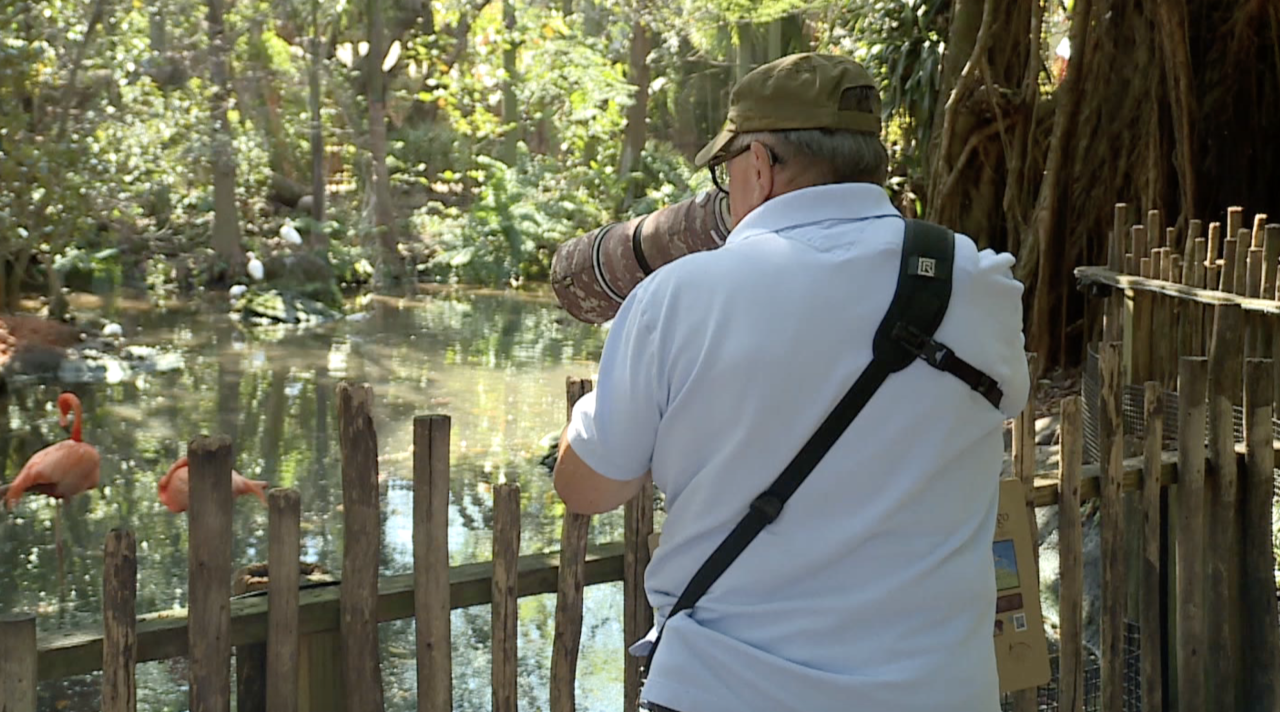 Walter Smith Palm Beach Zoo West Palm Beach 03142024.png