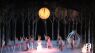 Nashville Ballet's Cinderella