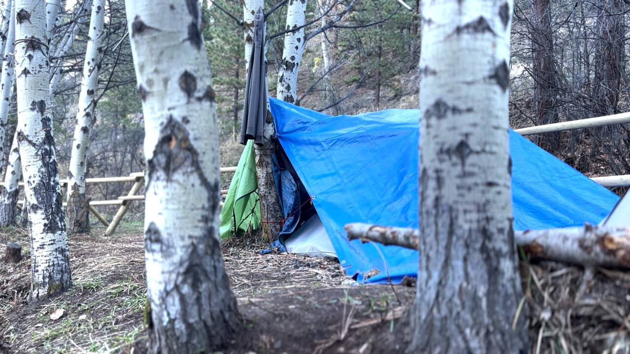 Oro Fino Gulch homeless camp