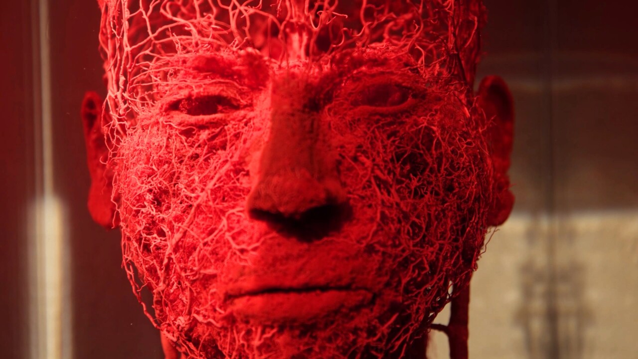 "BODY WORLDS: The Anatomy of Happiness"