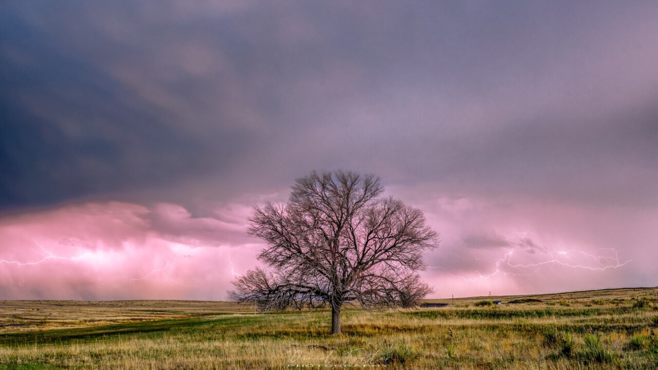 Daniel Forster thunderstorm
