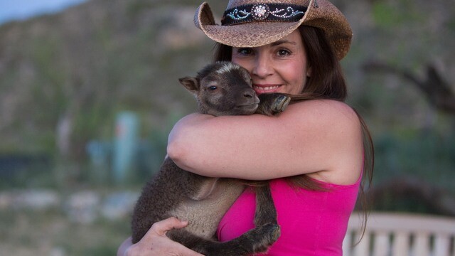 Babies of the Sonoran Desert