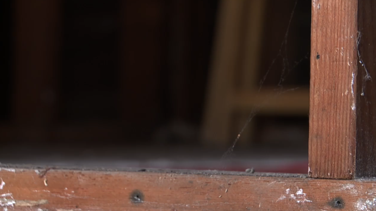 spiderweb ms lee's home