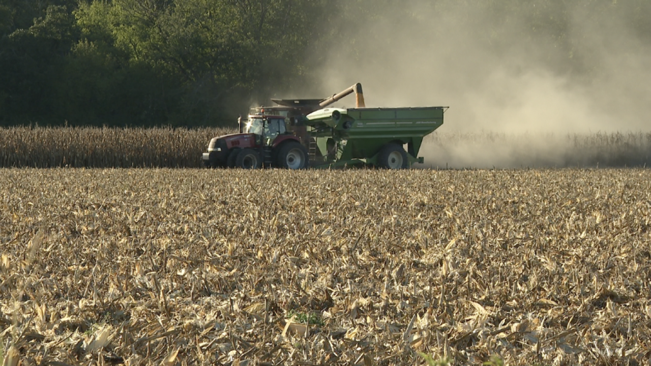 Harvest near Silver Lake, Kansas