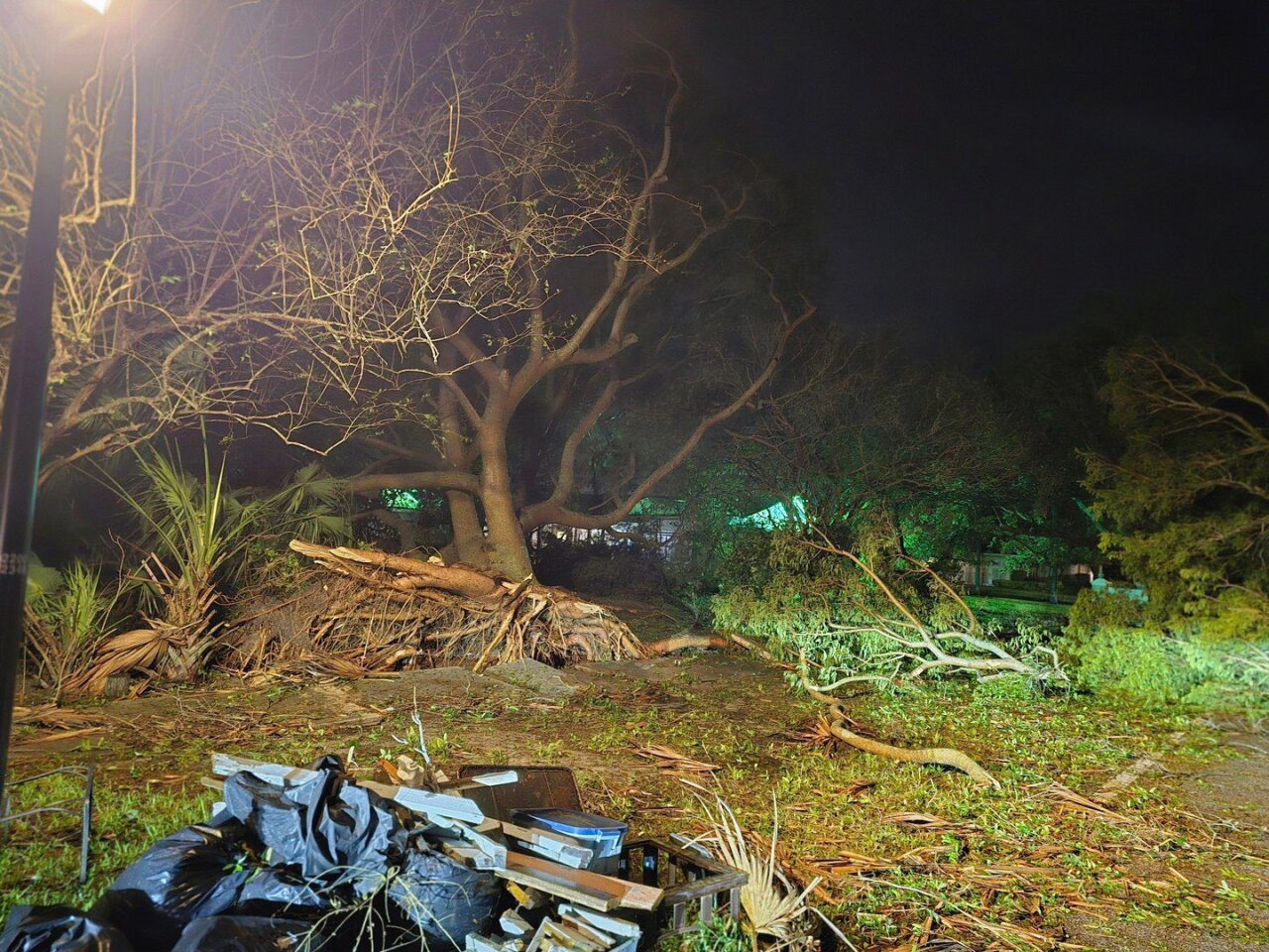 dana shores milton 2.jpg