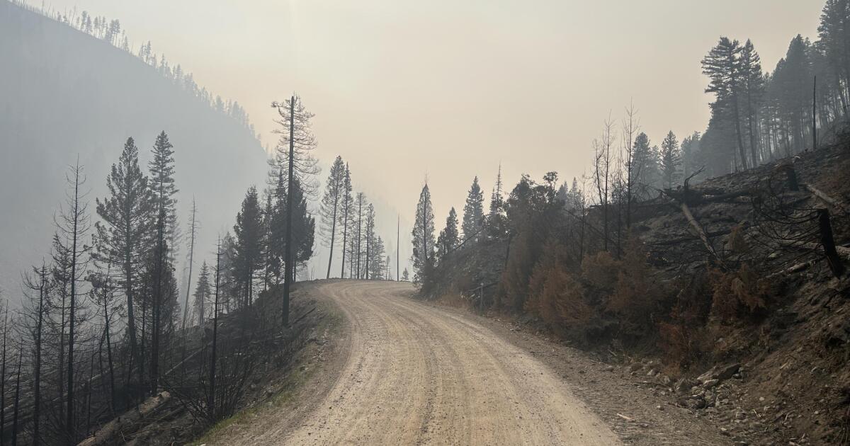 RailroadDaly Fire southeast of Hamilton at 12,800 acres