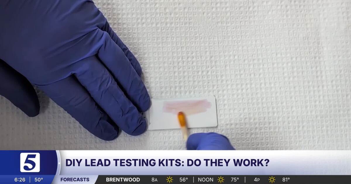 Lead testing kits for your home: Do DIY options actually work?